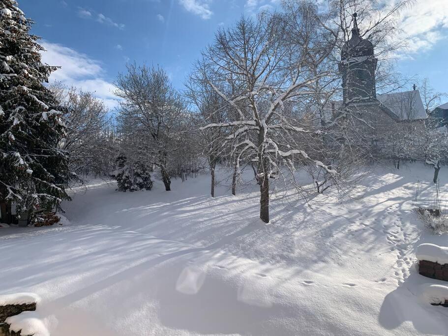 Ancienne Ferme Comtoise 4 Etoiles, 11 Personnes Lac St-Point/Mont D'Or Montperreux Екстер'єр фото